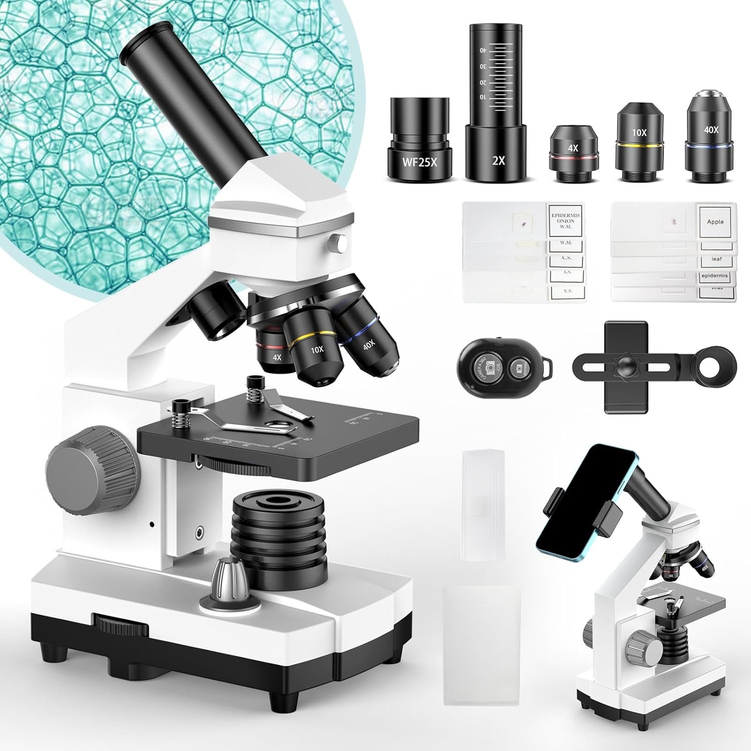 2000X Compound Microscope: Professional Lab-Quality Learning Tool