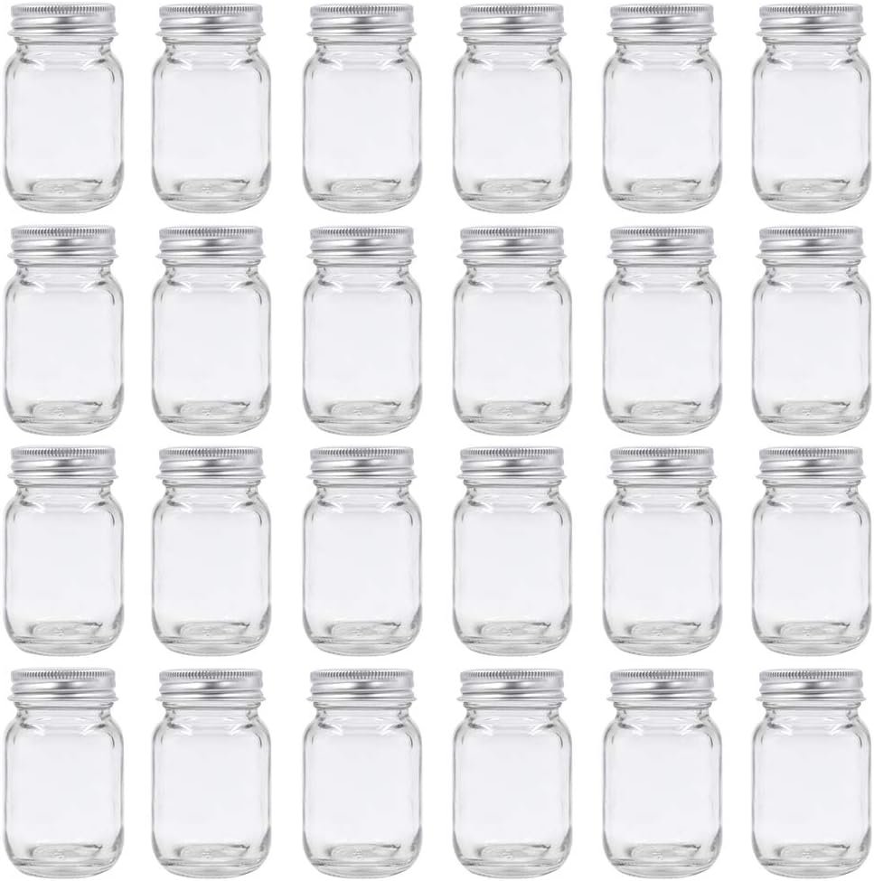 24-Pack Small Mason Jars with Lids for Honey, Jam & Spices