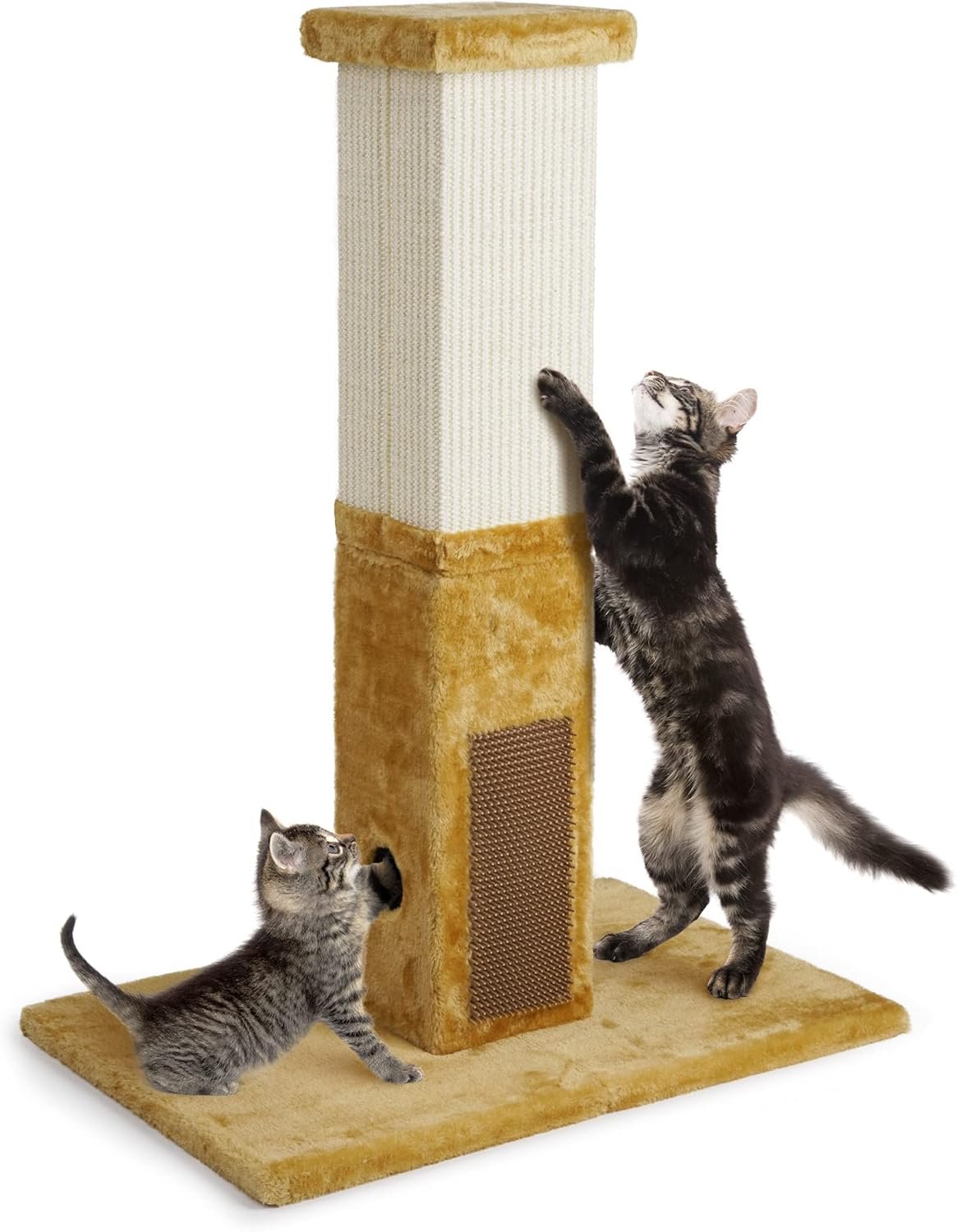 31-Inch Cat Tower: Keep Furniture Safe & Cats Happy