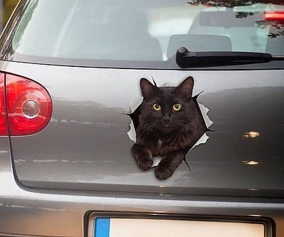 3D Cat Car Decal