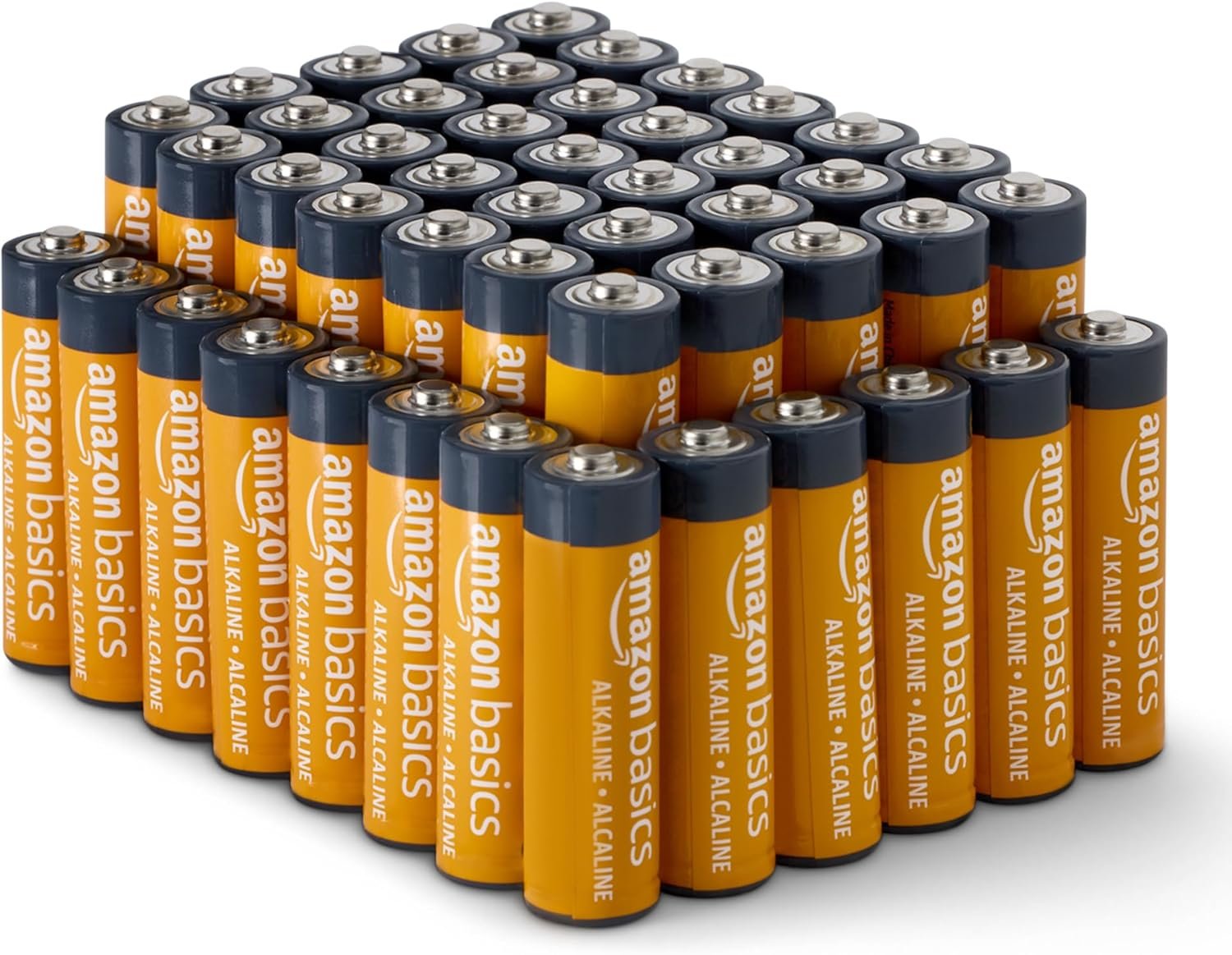 48 AA Batteries: 10-Year Shelf Life Power Pack