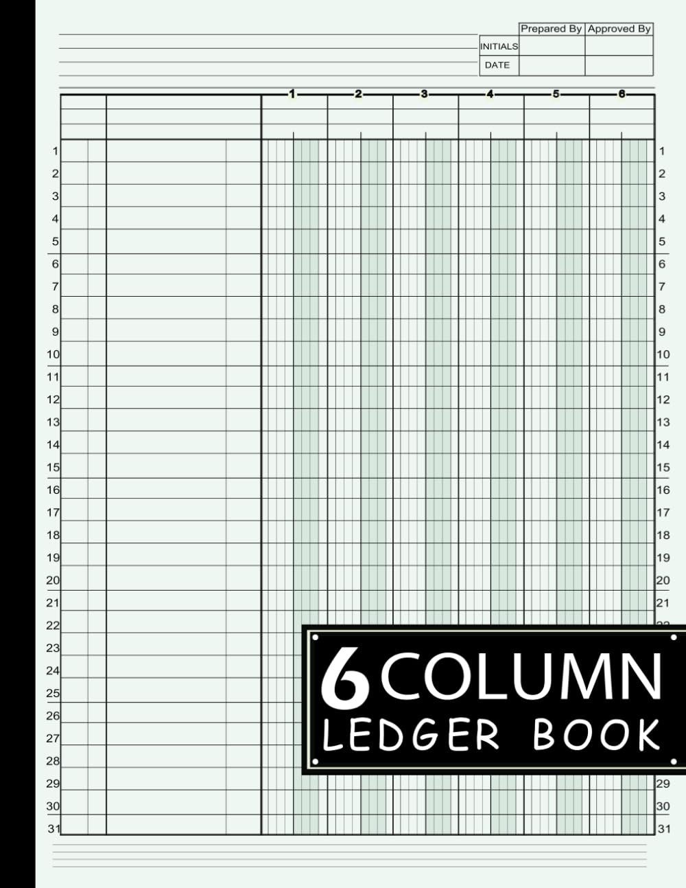 Effortless Financial Tracking with This Column Ledger Book