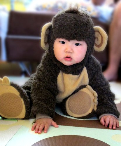 Infant Monkey Costume