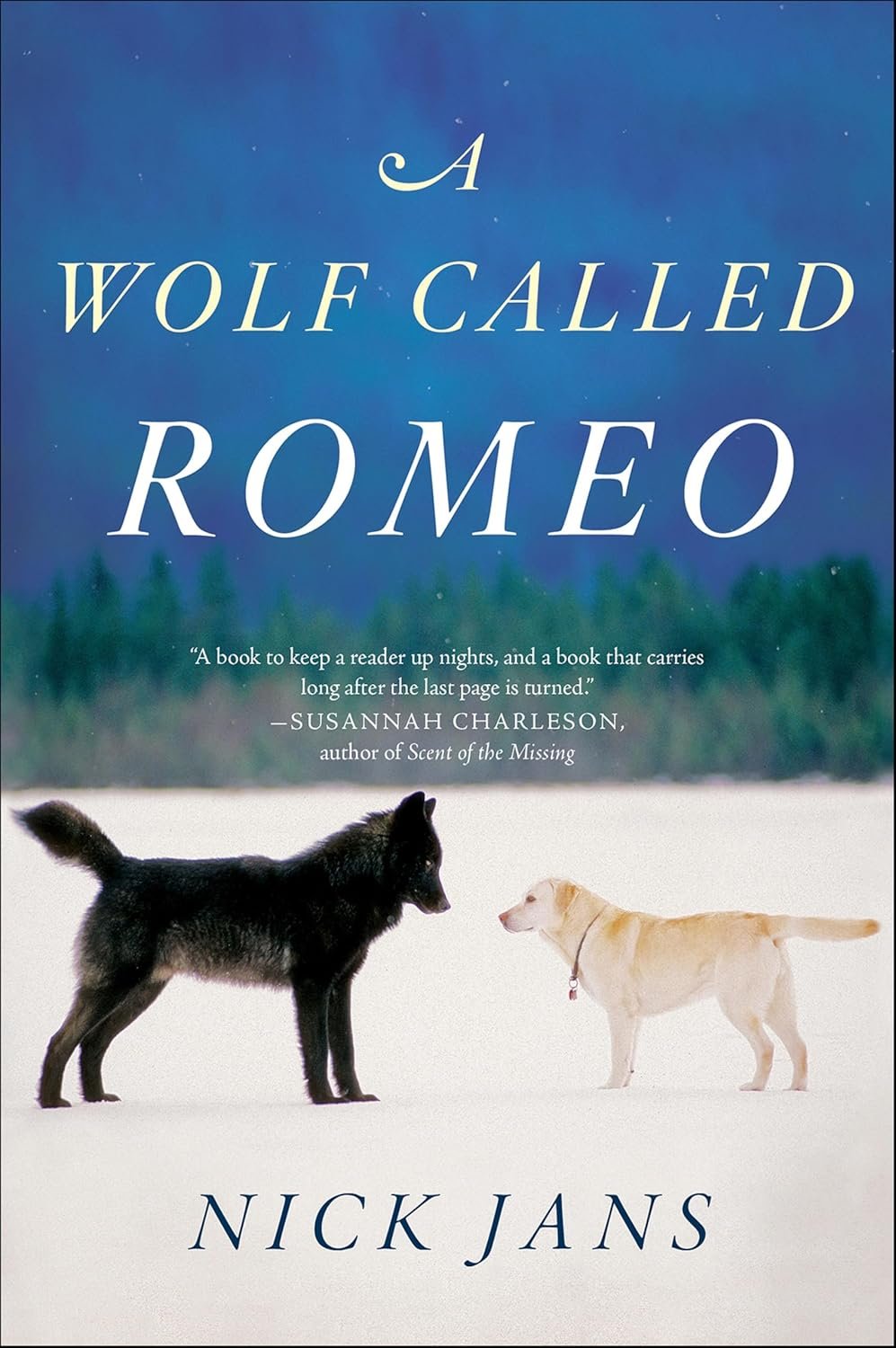A Wolf Called Romeo: A Heartfelt Interspecies Journey