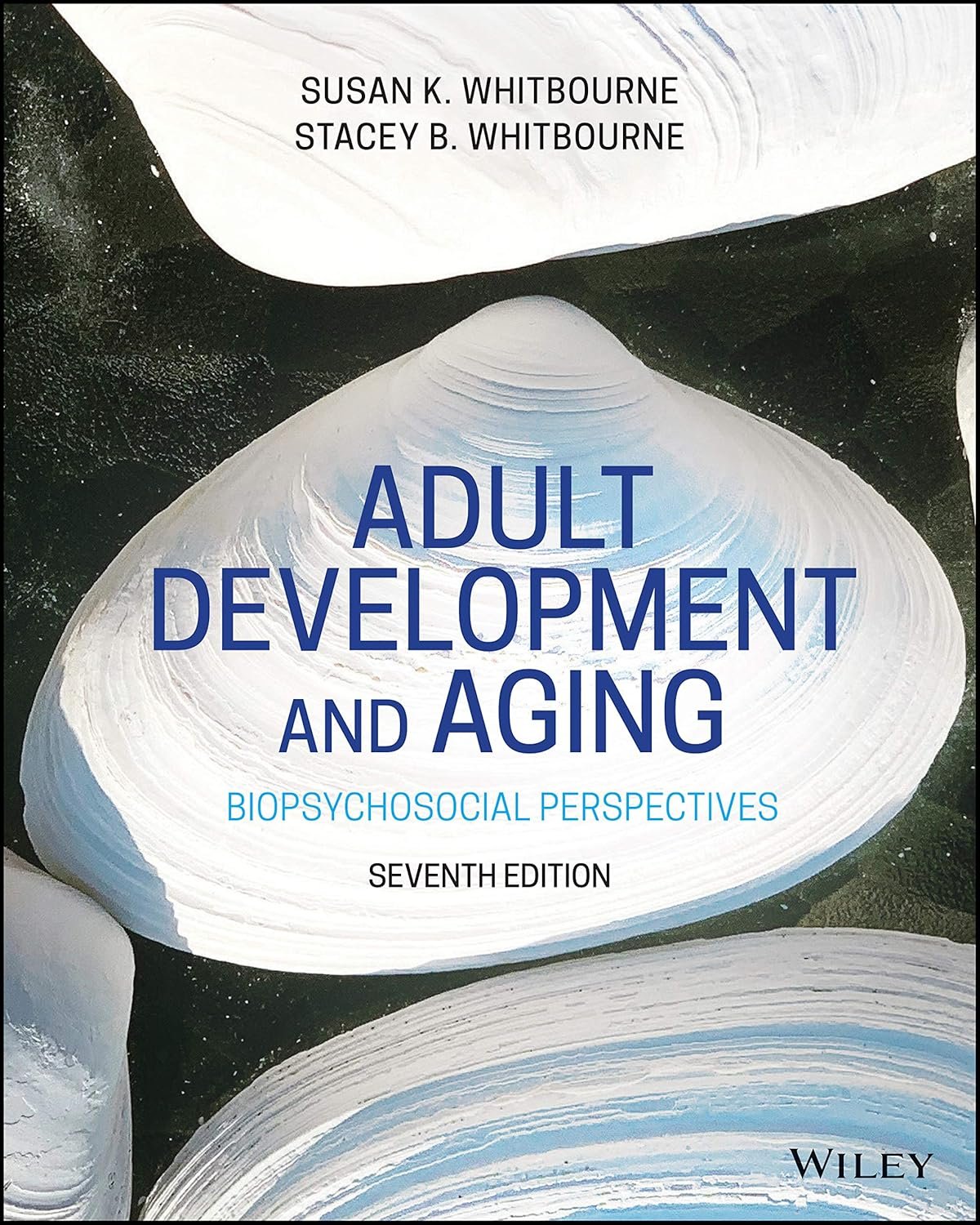 Understanding Aging: The Complete Biopsychosocial Guide