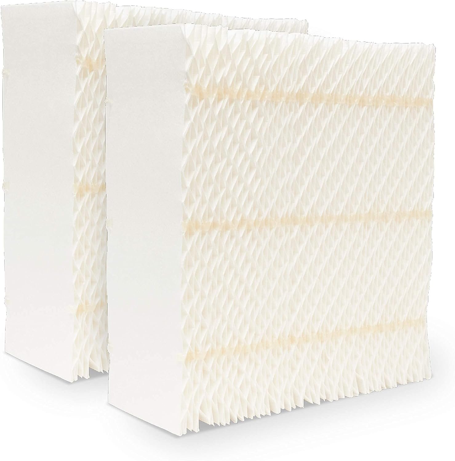 Fresh Air Starts with Clean Wicks - 2-Pack Replacement