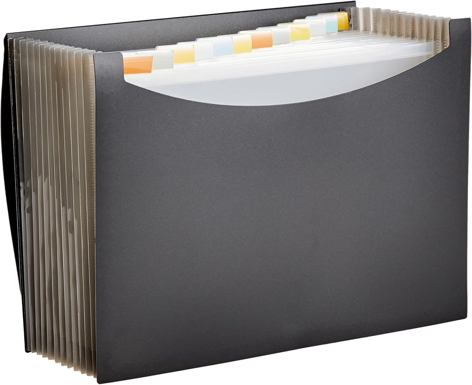 Amazon Basics Expanding File Folder - Organize with Ease