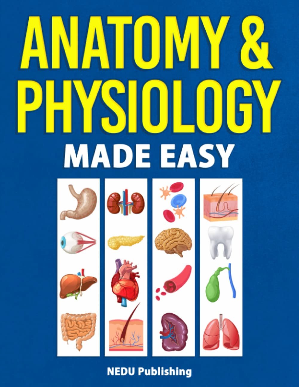 Master Anatomy & Physiology with 300+ Illustrations
