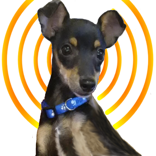 Animal Sounds Matching Game for Kids