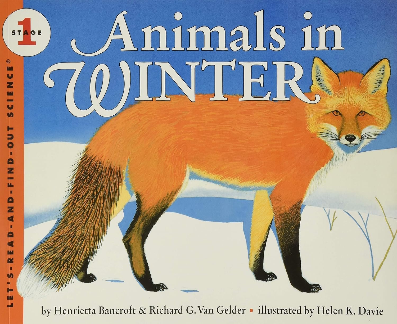 Animals in Winter: A Fun Science Exploration