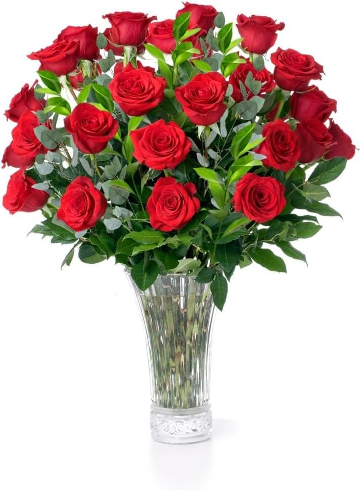 Fresh Red Rose Bouquet: 20 Stems of Love