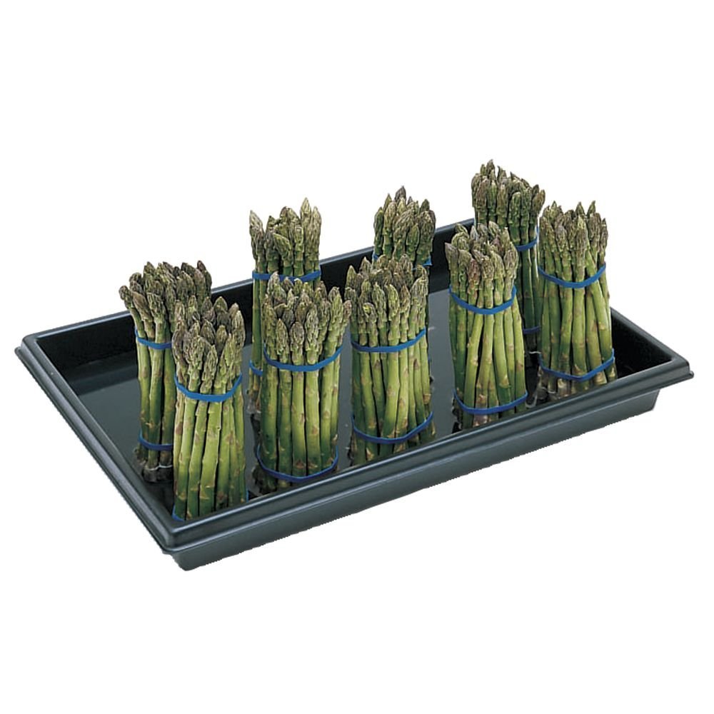 Professional Asparagus Display Container - 14 Bundle Capacity