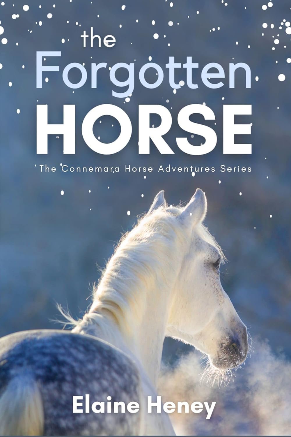 Award-Winning Horse Adventure: The Forgotten Horse Story