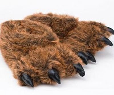 Bear Feet Slippers