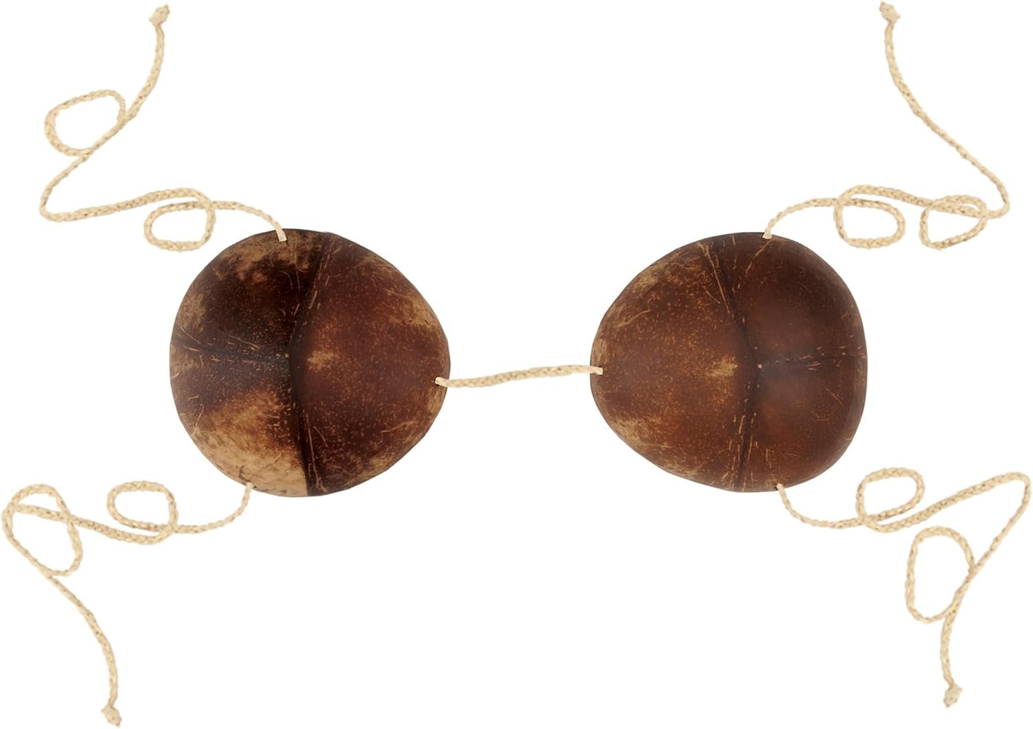 Fun Coconut Bikini Top for Novelty Lovers