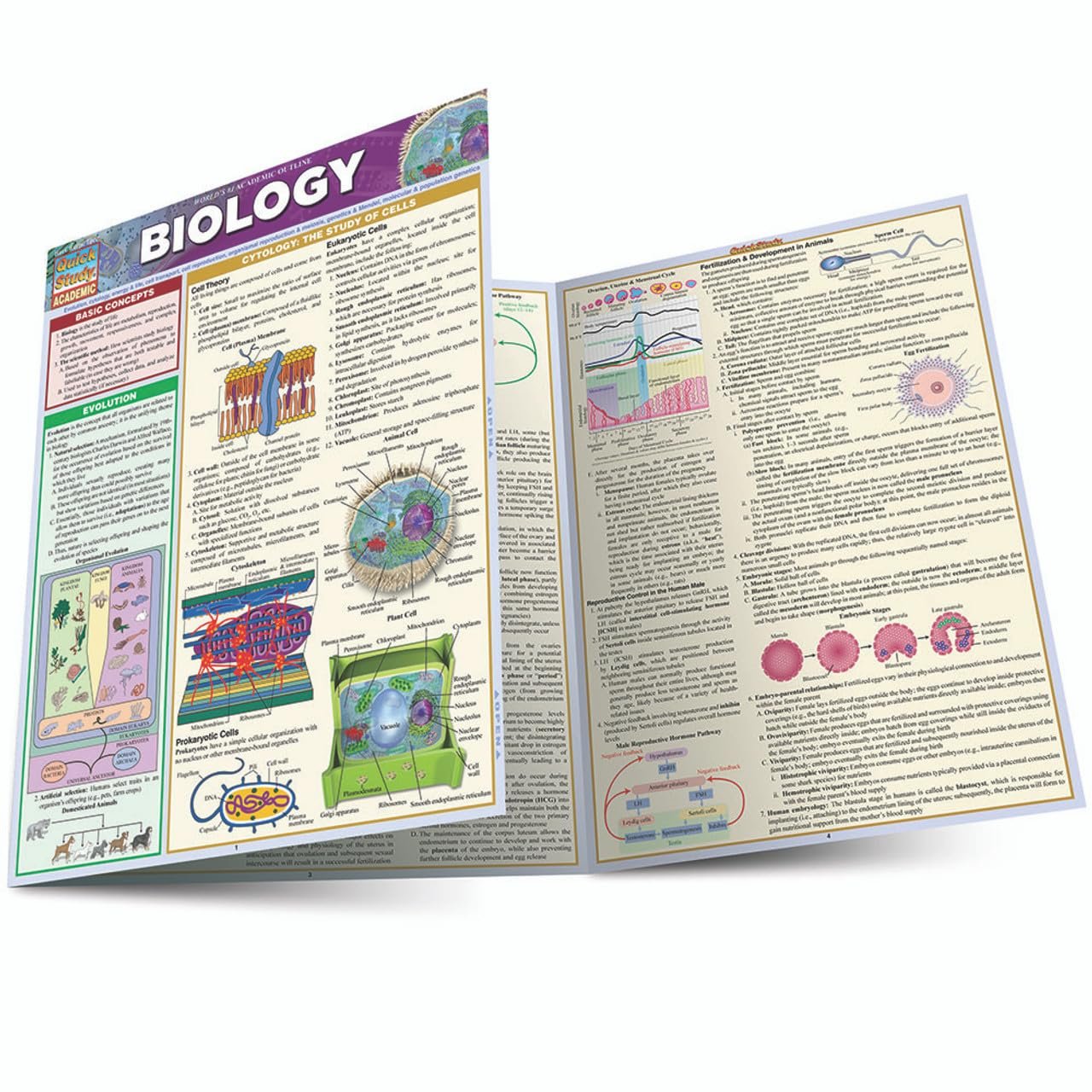 Essential Biology QuickStudy Guide for Students