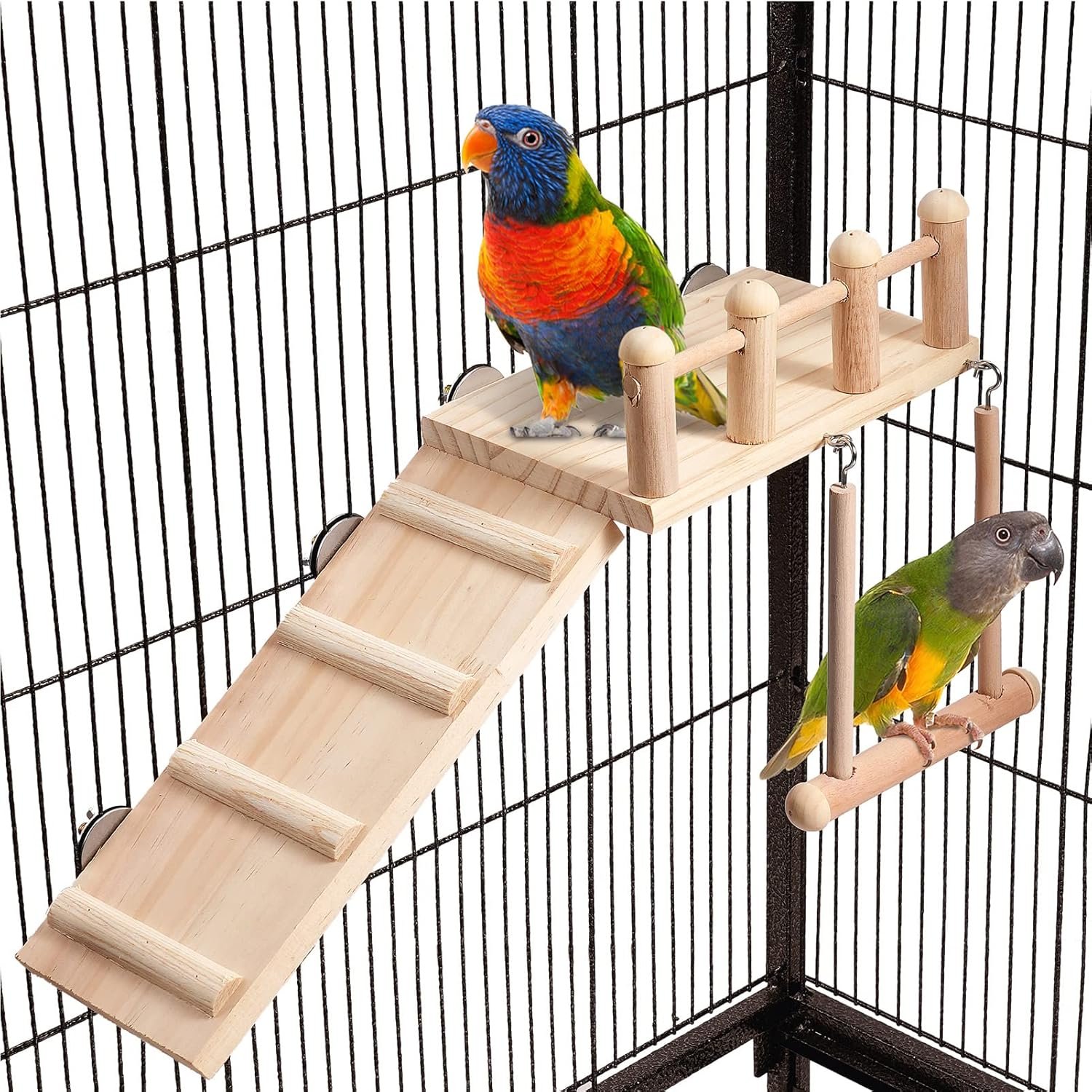 Engaging Bird Perch Swing with Climbing Ladder
