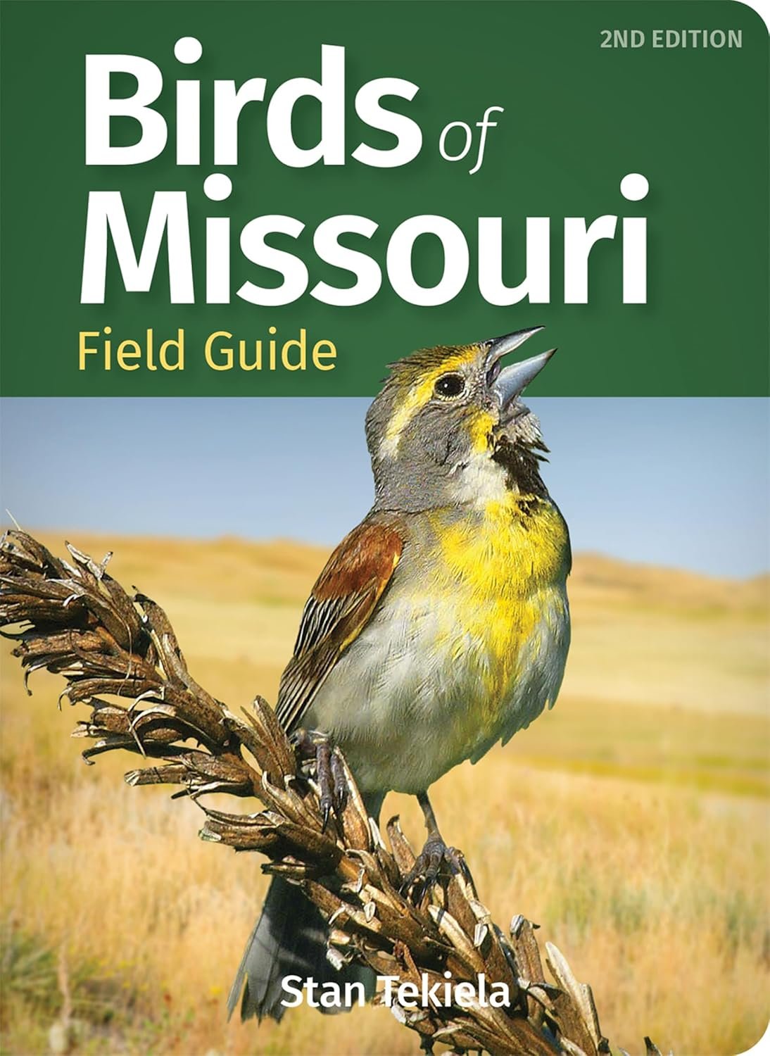 Bird Identification Made Easy with Birds of Missouri Guide