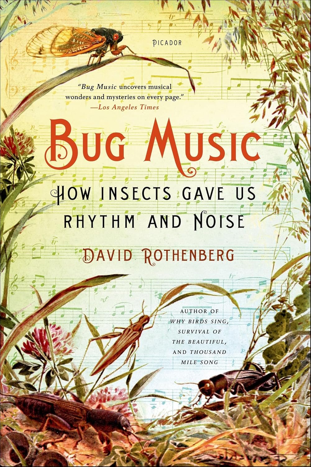 Bug Music: The Rhythm of Insects and Humanity