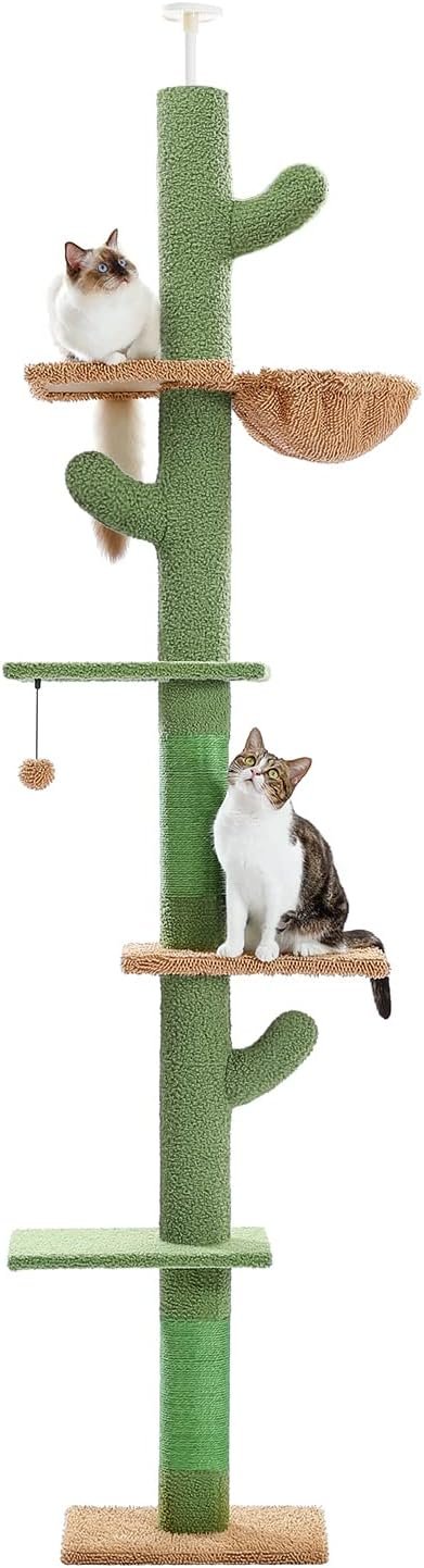 Cactus Cat Tower: Floor to Ceiling Fun for Indoor Cats