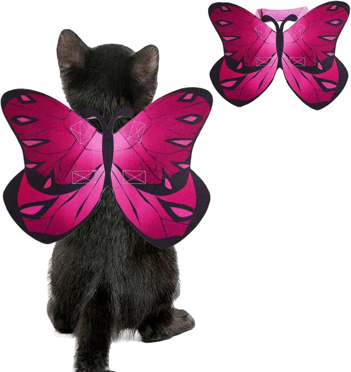 Cat Bat Wings Halloween Costume - Spooktacular Dress-Up Fun