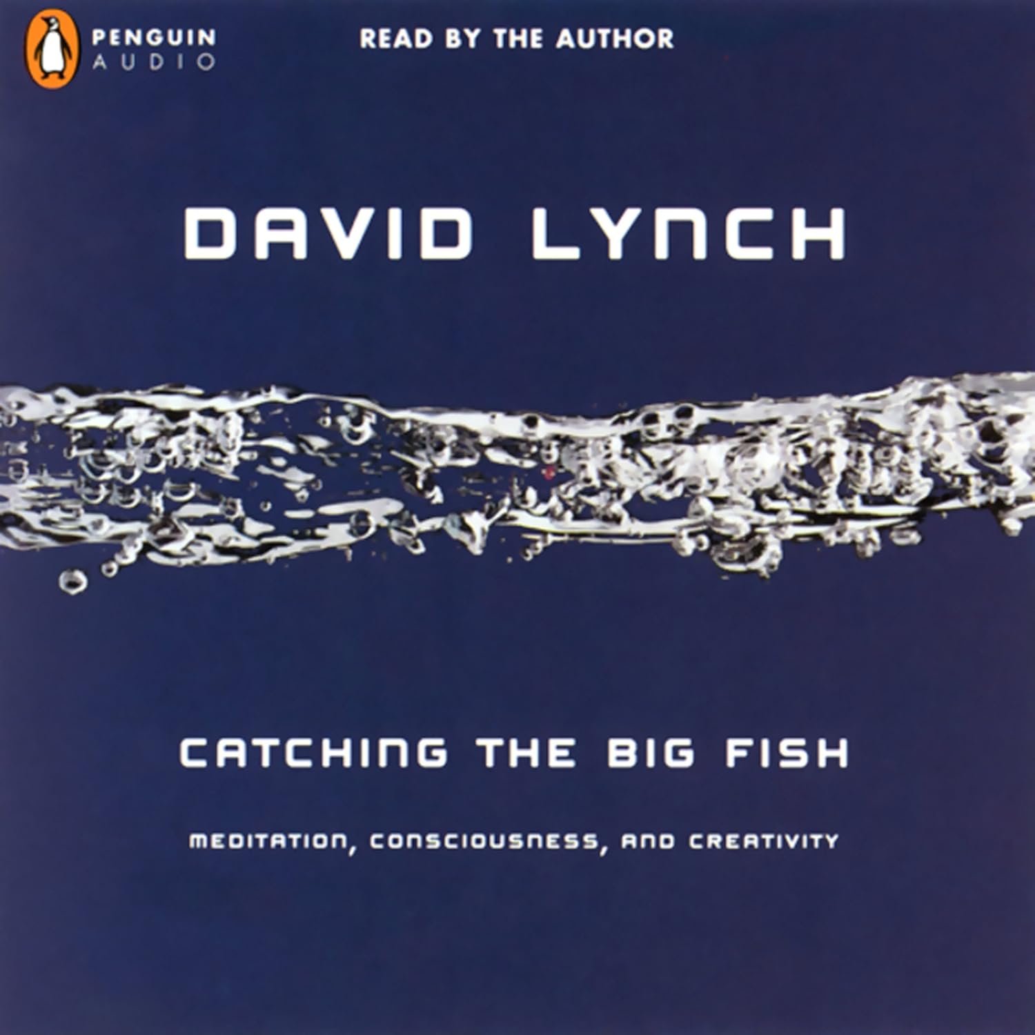 Catching the Big Fish: Unlocking Creativity Through Meditation