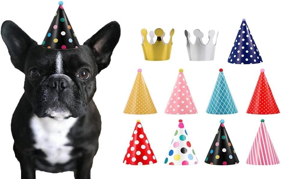 CBM Dog Party Hat Set for Celebrating Your Pup's Birthday