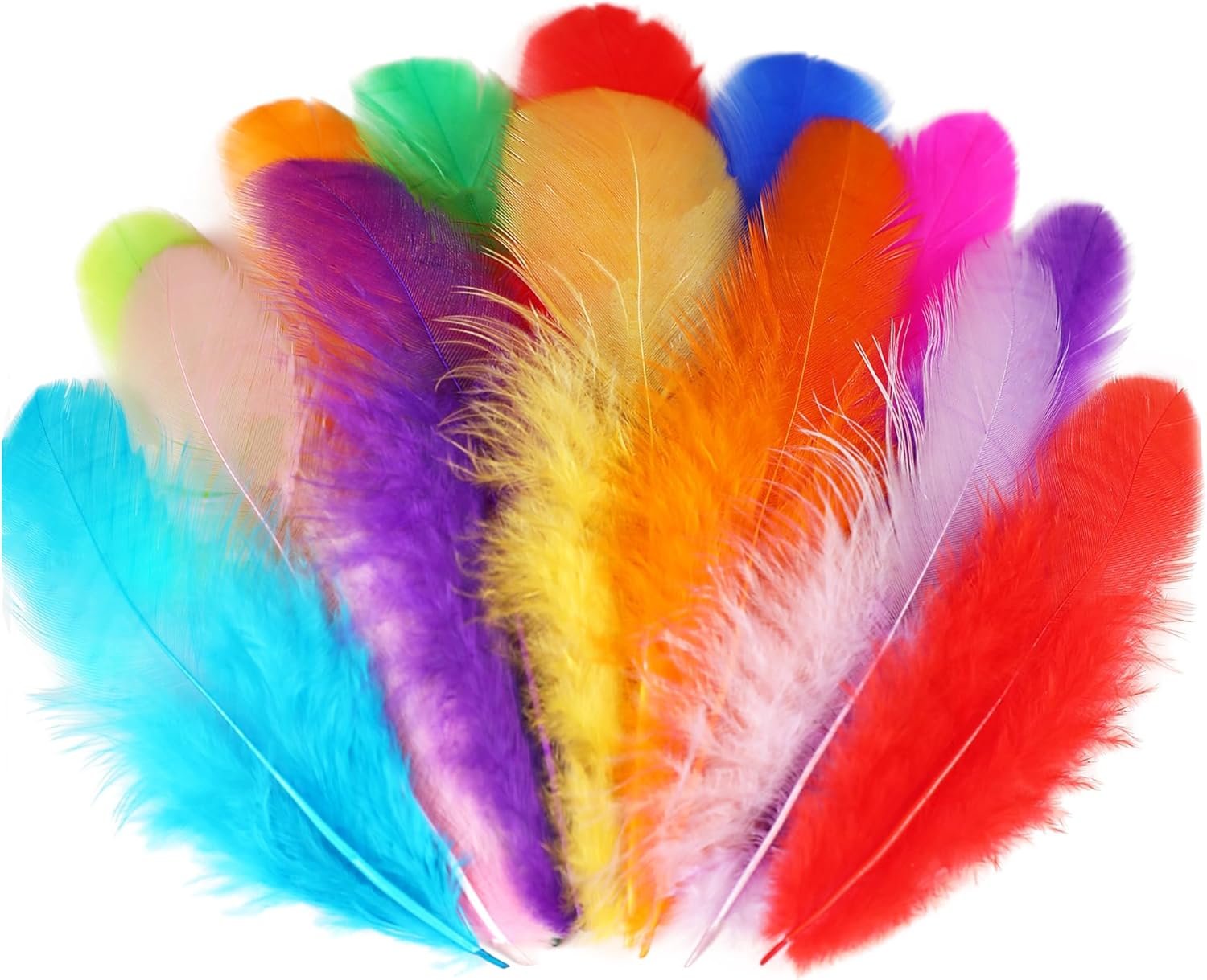 Colorful Rooster Feathers for Crafting Fun