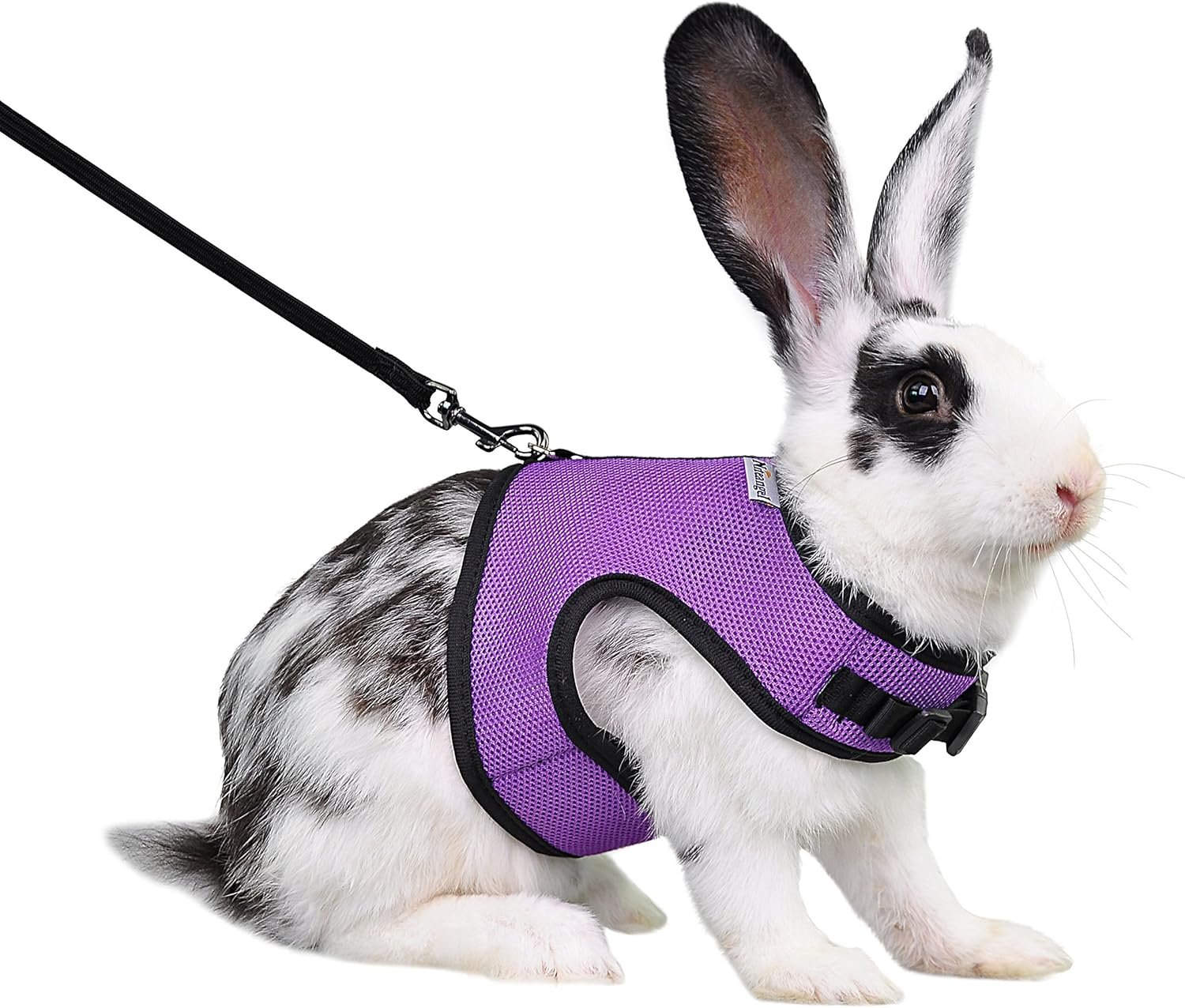 Comfortable Adjustable Rabbit Harness with Leash