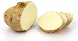 Crispy Refreshing Jicama - 5lb Crunchy Root Veggie