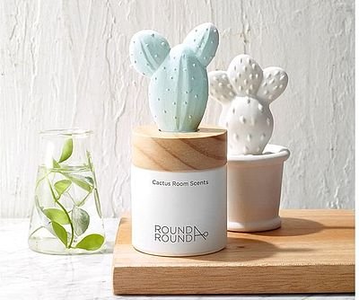 Cute Cactus Aromatherapy Diffuser