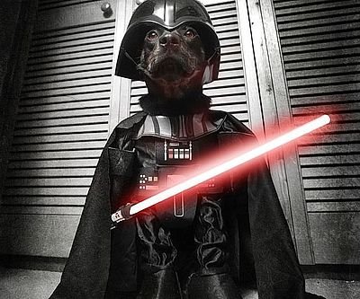 Darth Vader Dog Costume