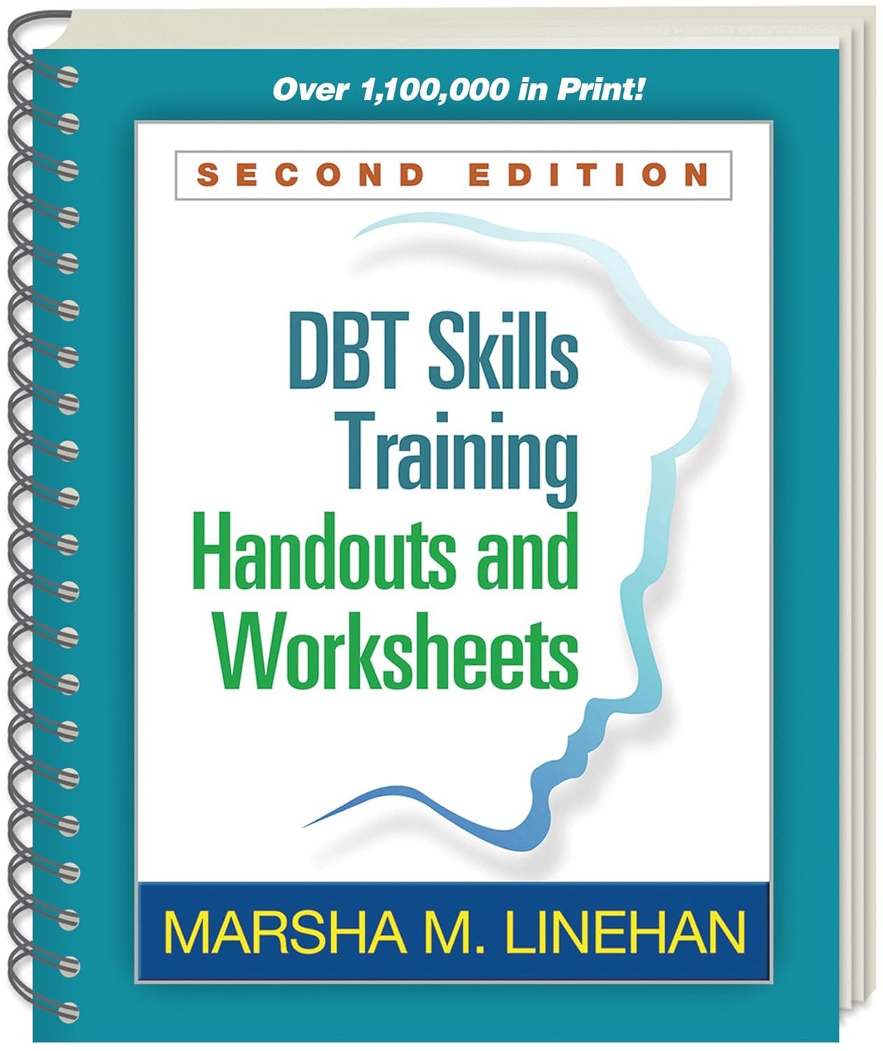 DBT Skills Workbook: Practical Exercises for Emotional Regulation