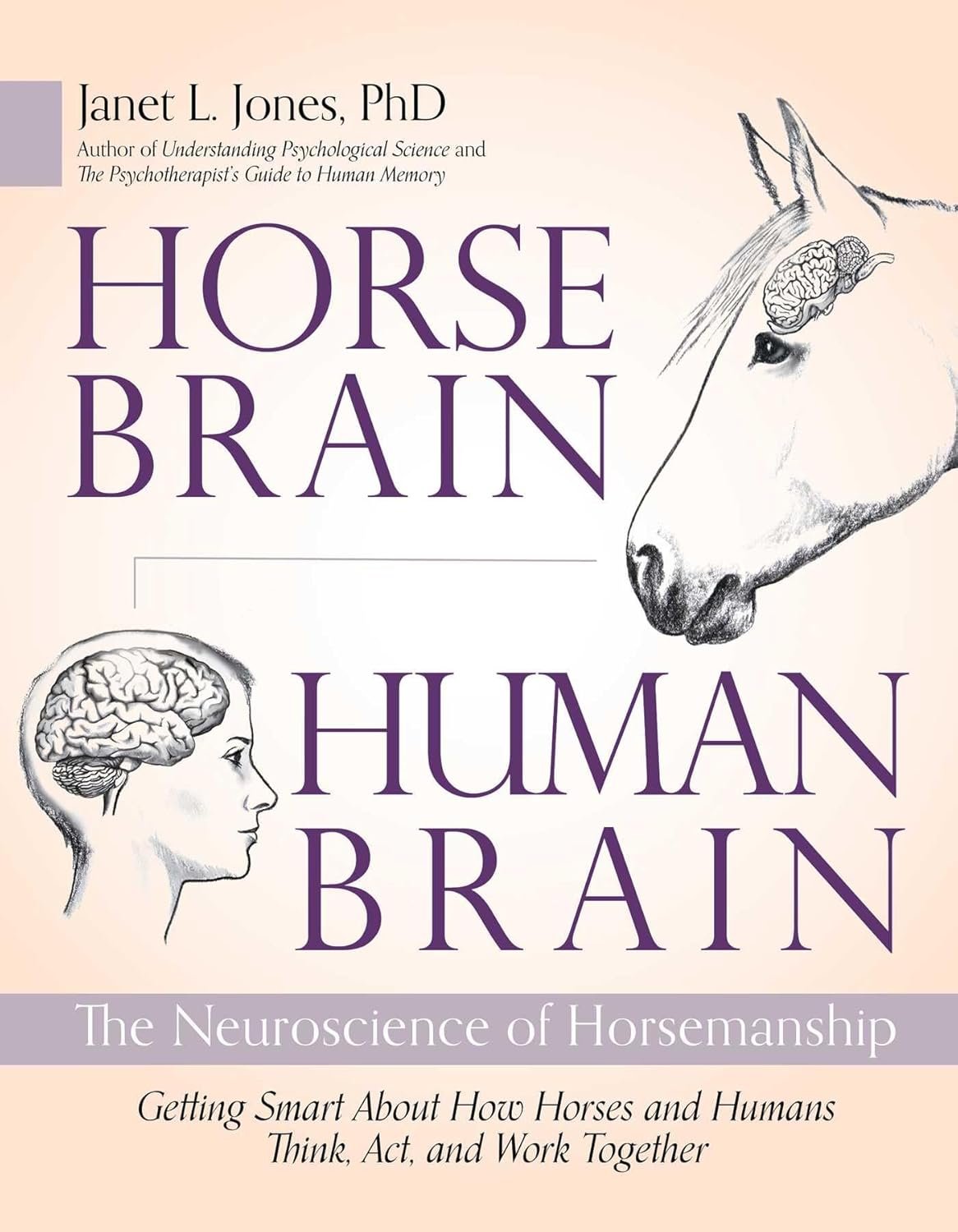 Decode Your Horse's Mind with Neuroscience Insights