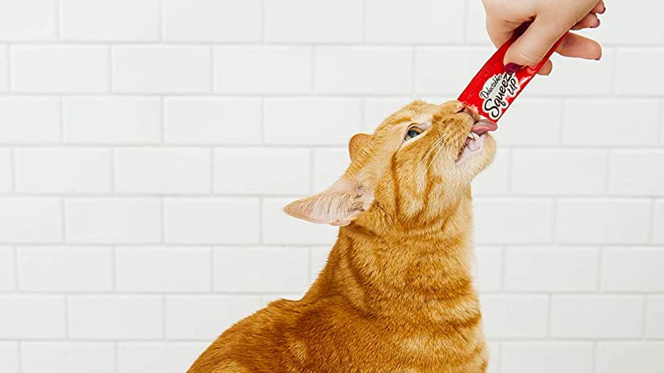 Delectables SqueezeUps - Go-Gurt for Cats