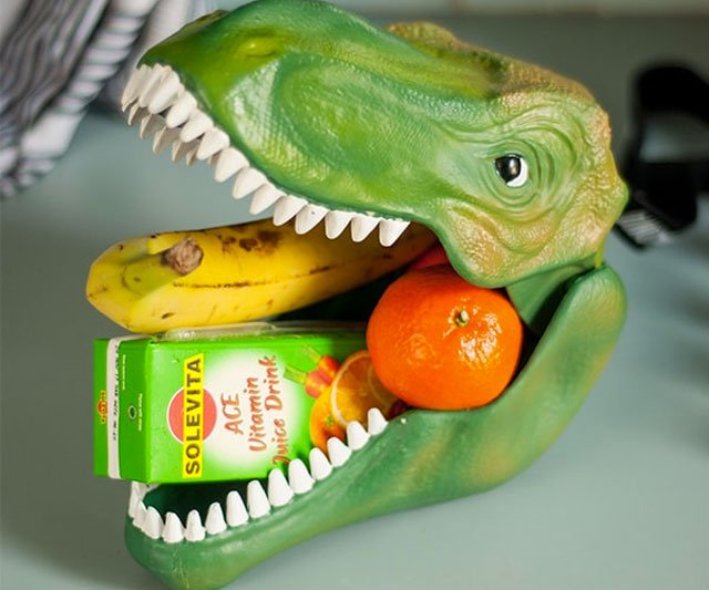 Dino Case - T-Rex Lunch Box & Carrier