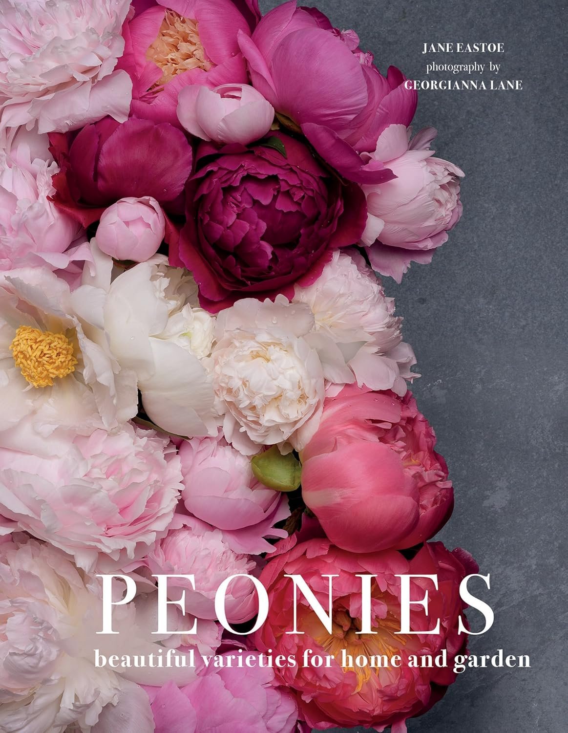 Discover the Beauty of Peonies: A Gardener's Guide