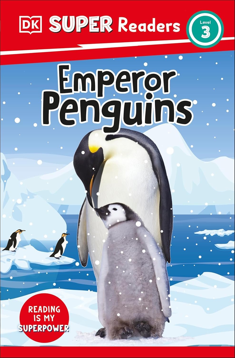 Discover the Brave Emperor Penguins