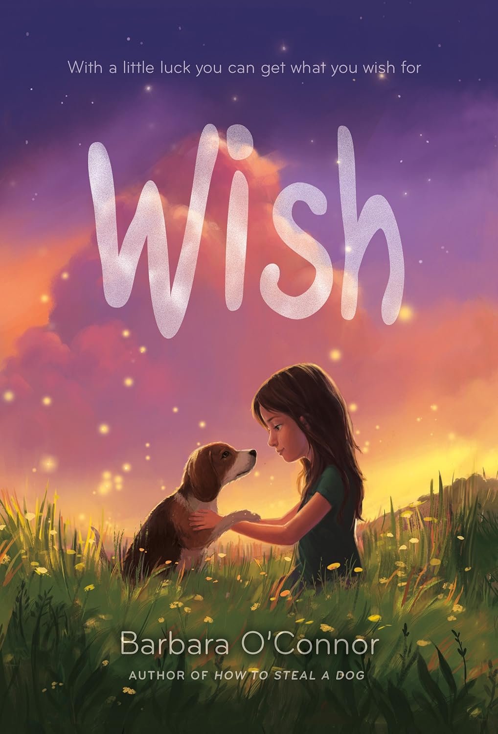 Discover Wish: A Heartwarming Tale of Family and Friendship