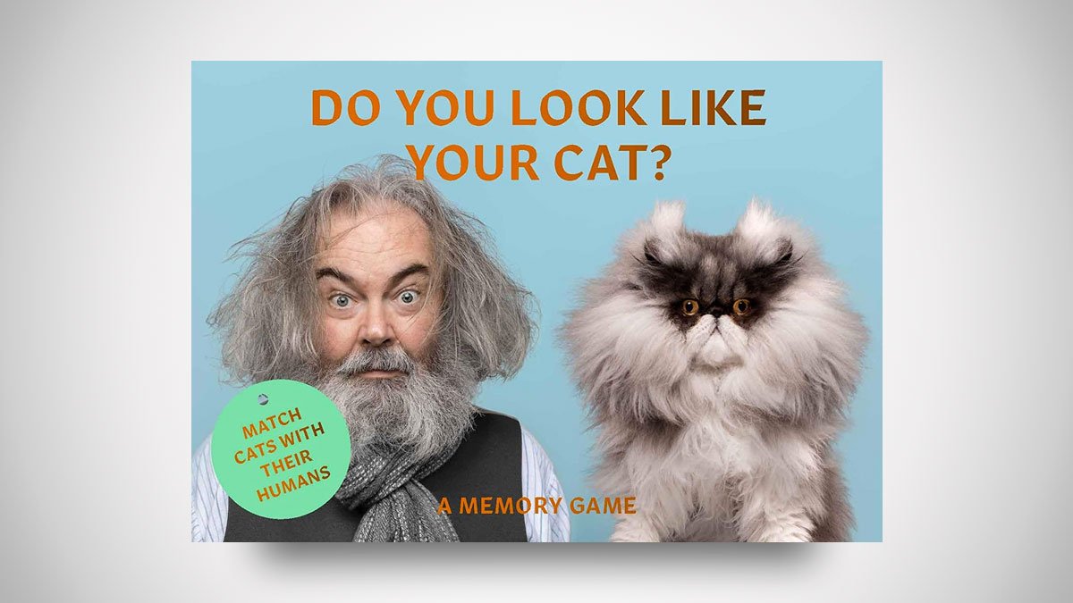 Do You Look Like Your Cat? Memory Game