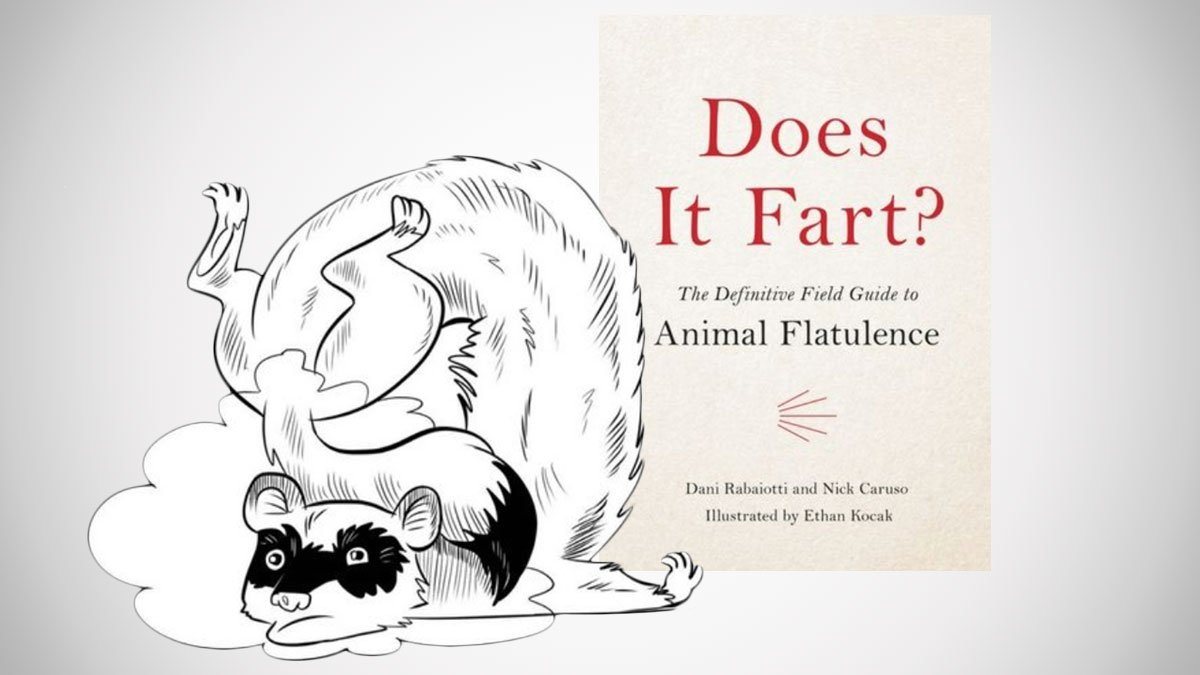 Does It Fart?