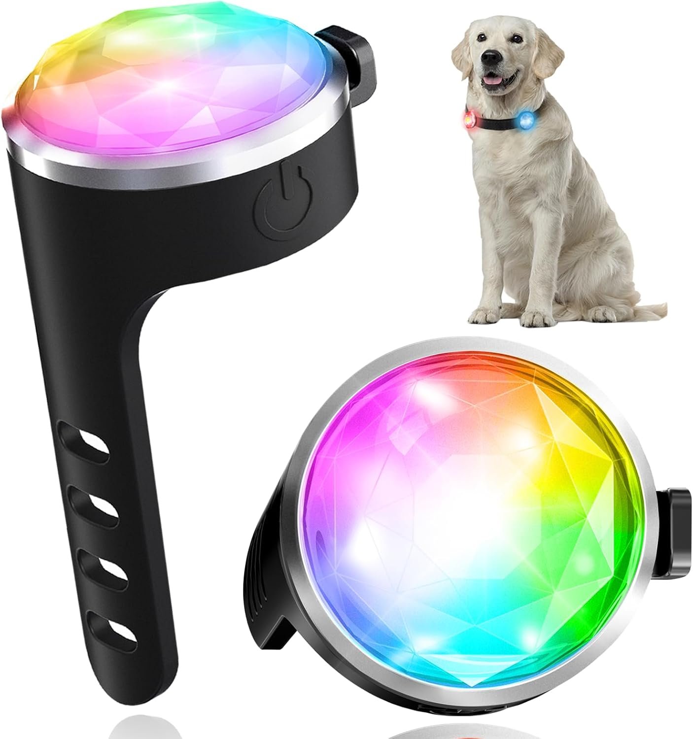 Keep Your Dog Safe & Visible at Night