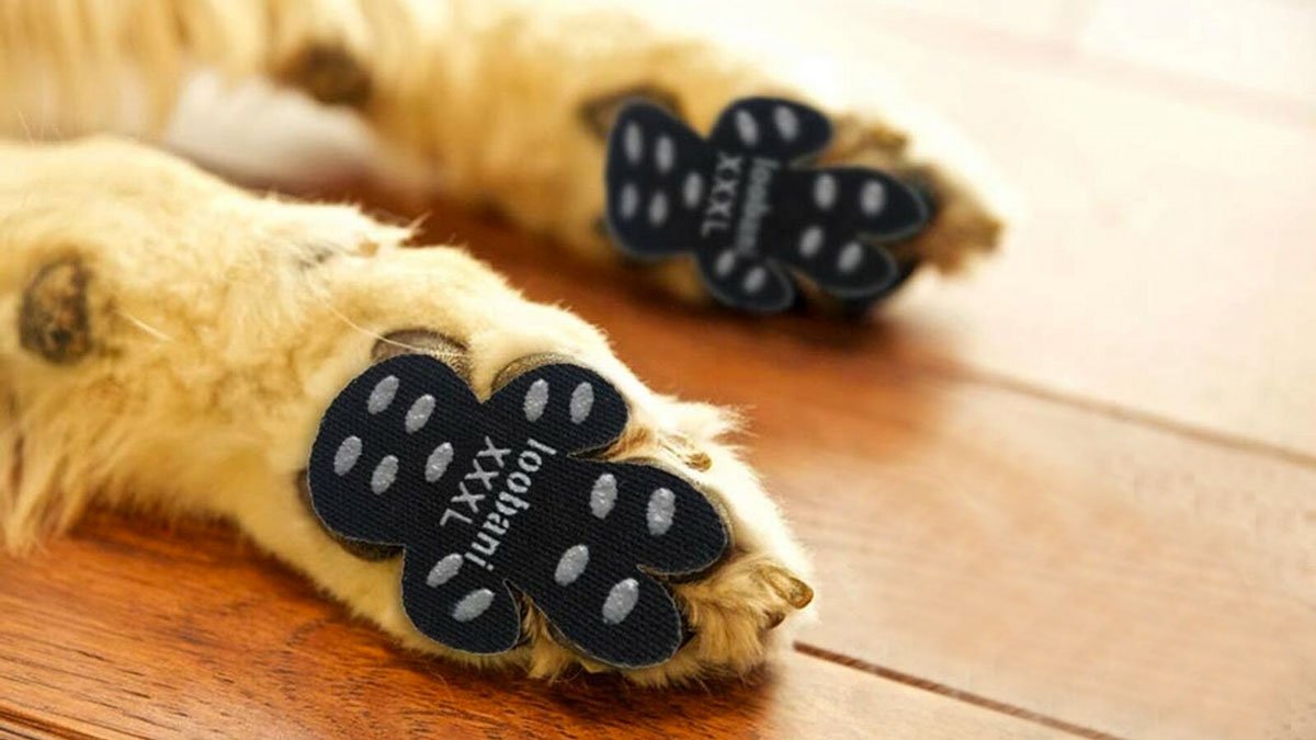 Dog Paw Anti-Slip Pads