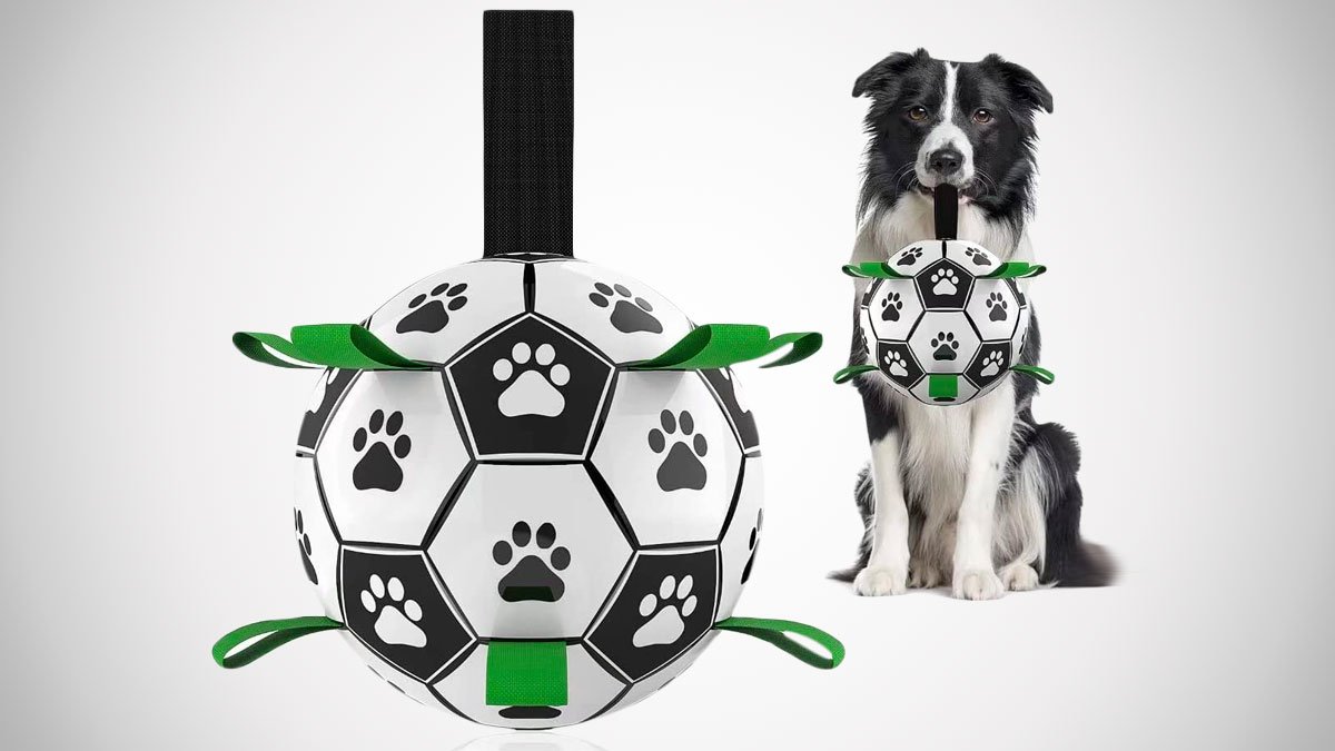 Dog Soccer Ball with Grab Tabs