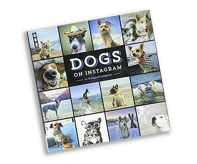 Dogs on Instagram