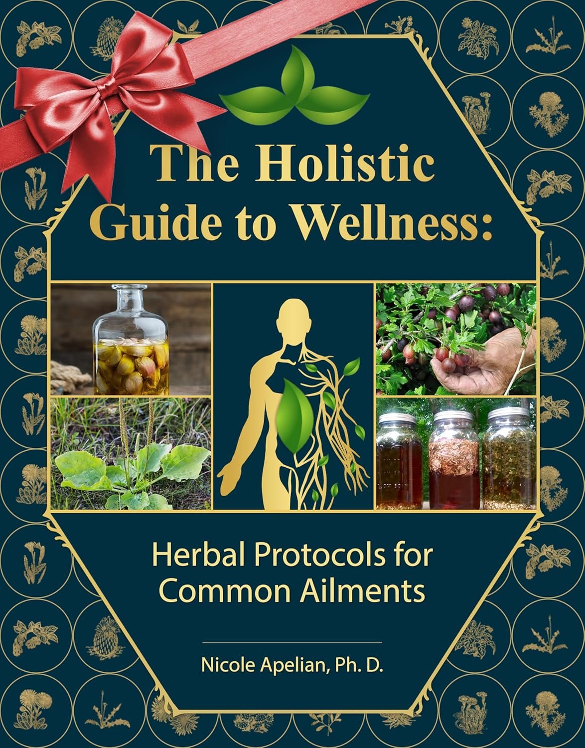 Dr. Nicole's Herbal Wellness Protocols