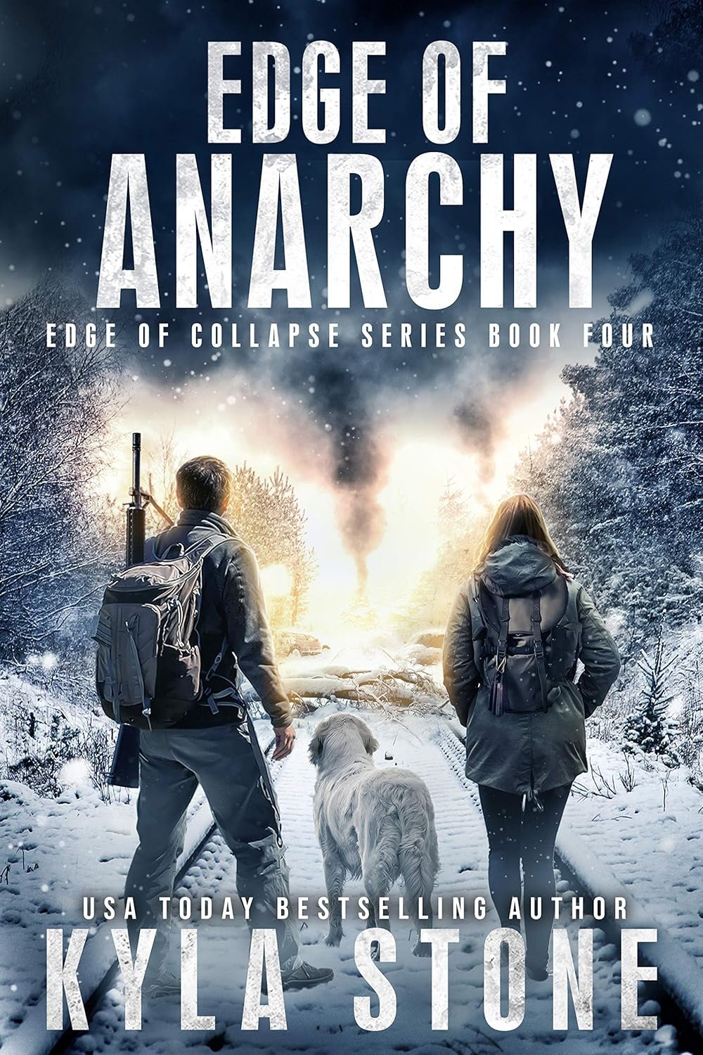 Survival in the Dark: Edge of Anarchy Thriller