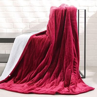 Electric Heated Throw Blanket