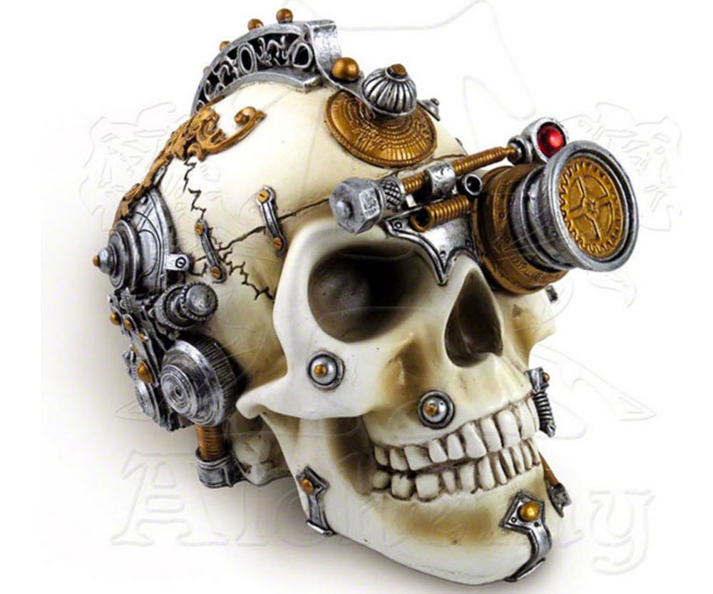 Erasmus Darwin's Steam-Cerebrum Skull
