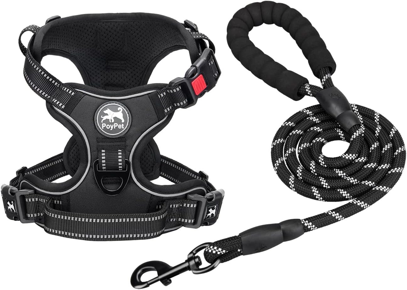 Stop Pulling, Start Walking: Escape-Proof Dog Harness Combo